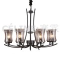 Lampe suspendue à grande quantité avec pendentif en verre (SL2246-8)